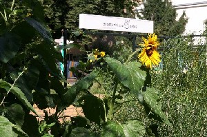 gruenerhof web